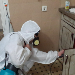 Дезинфекция от муравьев в квартире в Малоархангельске