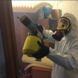 Уничтожение клопов в квартире. Малоархангельск